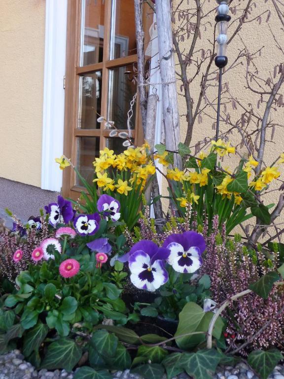 Ferienhotel Herzog Neumarkt am Wallersee Exterior photo